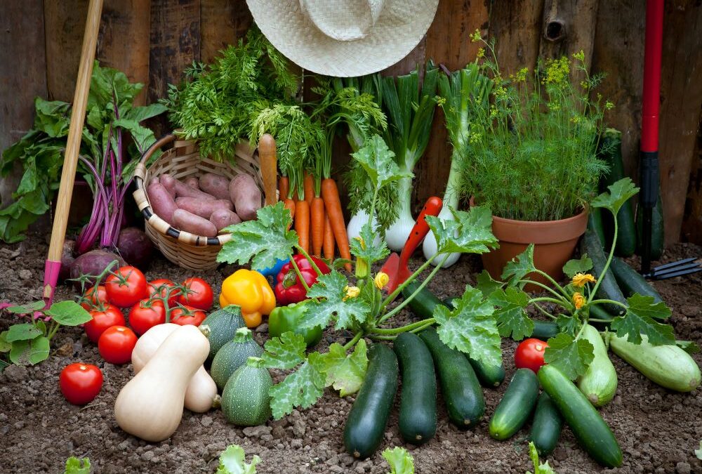 Orti e giardini utili