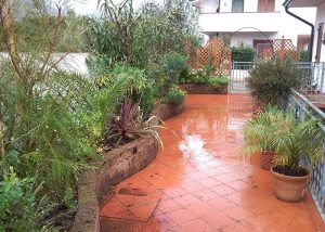 Giardini in vaso a Cuneo